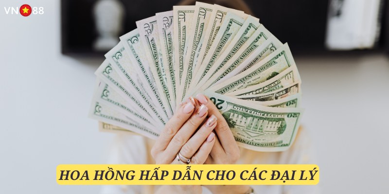 Đại lý thành viên sẽ nhận được những đãi ngộ hết sức tuyệt vời