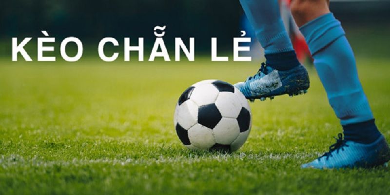 Bí quyết bắt kèo chẵn lẻ chuẩn hiện nay