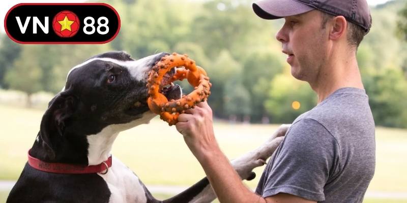 Hành trình xây dựng sự nghiệp đầy gian nan của vị lãnh đạo tài ba CEO BARK